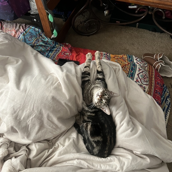 Meet your Posher, Stefie๐ฆ๐๐ฆ - Picture 9 of 9